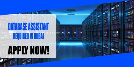 DATABASE ASSISTANT REQUIRED IN DUBAI