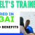 IELT'S Trainer Required in Dubai -