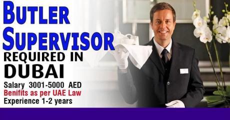Butler Supervisor Required in Dubai