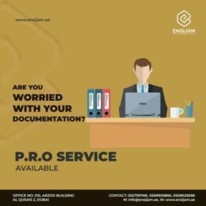 PRO SERVICES