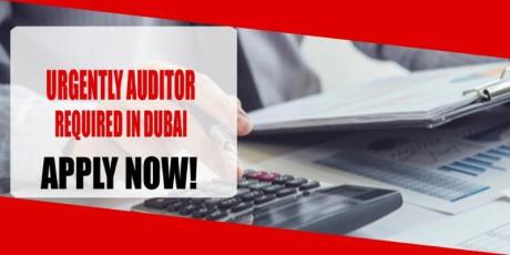 URGENTLY AUDITOR REQUIRED IN DUBAI