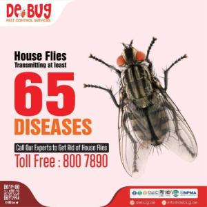 best pest control company in Abu Dhabi
